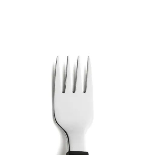 300100B000485_01.webp