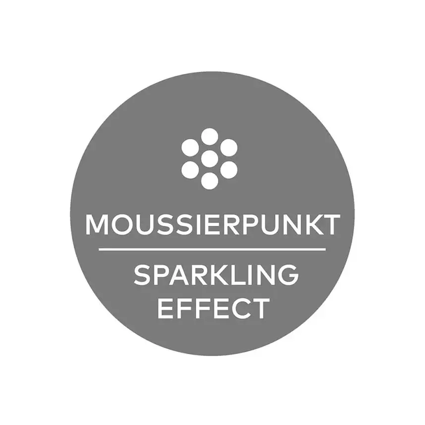 Moussierpunkt.webp