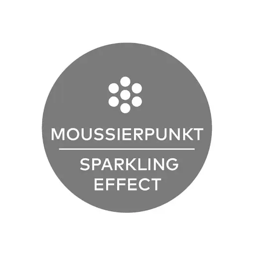 Moussierpunkt.webp