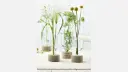 Playground_GLASS_128_Mood_Vases.webp