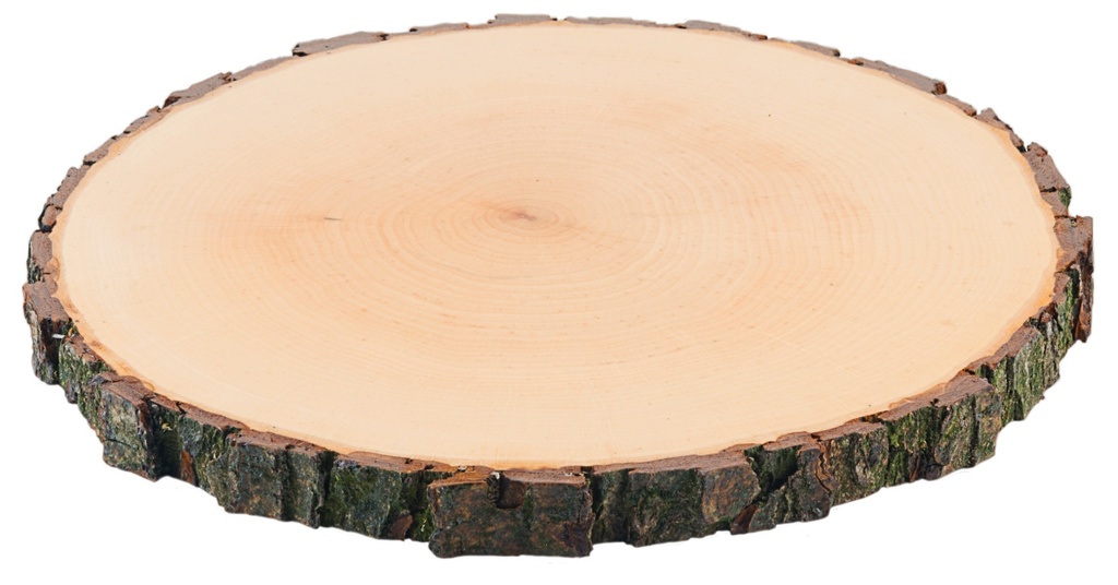 Rindenbrett rund - natürliche Baumscheibe aus Esche oder Erle mit Rinde