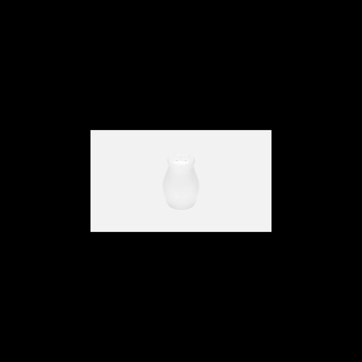 [BAU-699401011000000] Salzstreuer ACCESSOIRES Bauscher H: 6,9cm