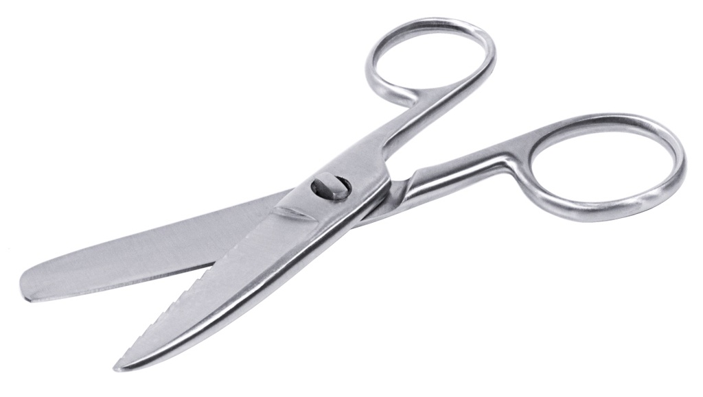 Fischschere aus massivem Edelstahl