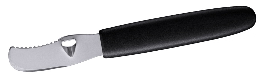 Orangenschäler aus gezahntem Edelstahl 