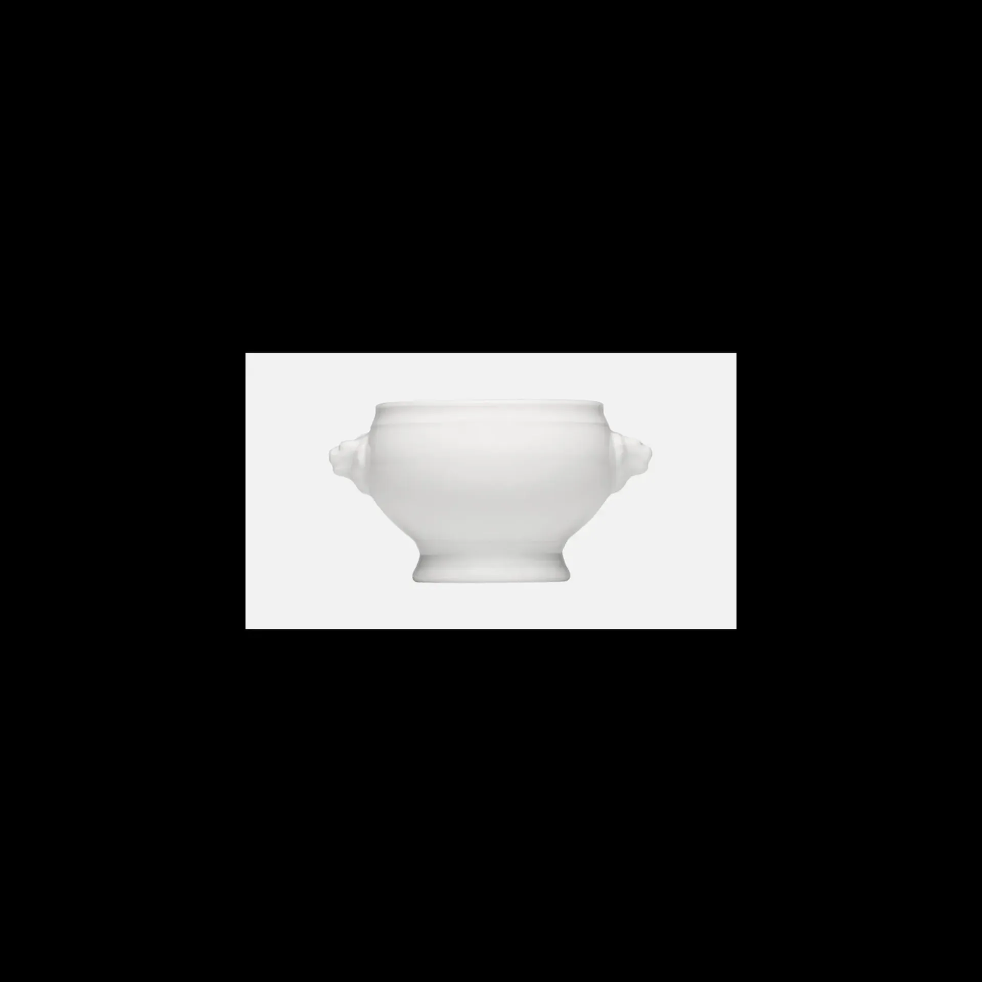 [BAU-678364511000000] Terrine LUZIFER Bauscher 0,45L