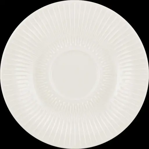 [BAU-9 82 6969 6] Untertassen VIBES (160mm, 19mm, 185g)