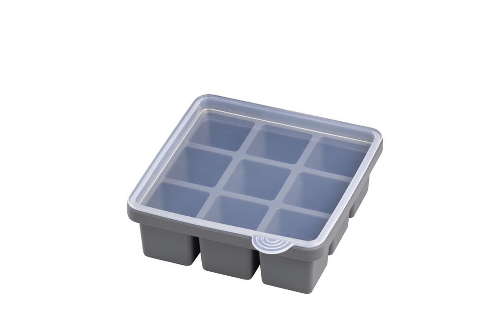 Eiswürfelform APS 2er-Set, 15,5 x 15,5cm