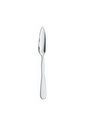Fischmesser ANTARIS Picard & Wielpütz