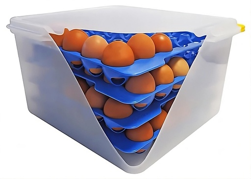 [CTO-8033/023] Eierbox GN 2/3 aus Polypropylen 