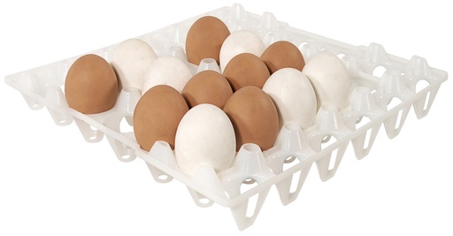 [CTO-8034/030] Eiertabletts aus Polypropylen zur Aufbewahrung von 30 Eiern