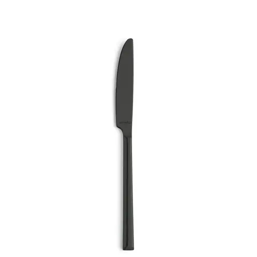 [AMF-1170ZTB000305] Menümesser METROPOLE, schwarz Amefa