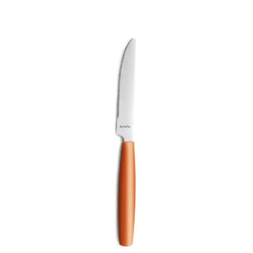 [AMF-2515ORB000305] Menümesser PIXEL orange Amefa