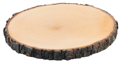[CTO-3863/022] Rindenbrett rund - natürliche Baumscheibe aus Esche oder Erle mit Rinde
