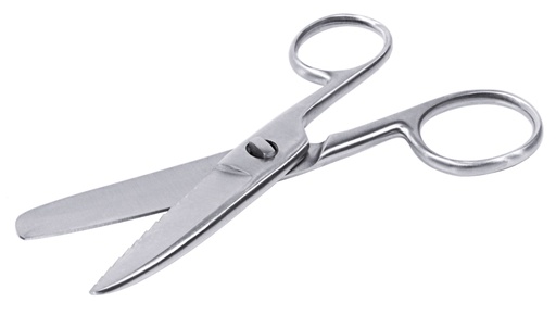 [CTO-159/185] Fischschere aus massivem Edelstahl