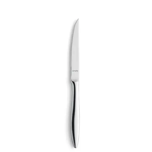 [AMF-909000B000315] Steakmesser TENDENCE Amefa
