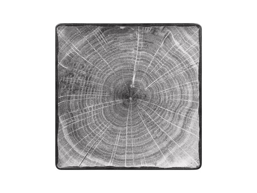 [RAK-WDEDSQ30BG] Teller 30,5 x 30,5cm WOODART flach, quadratisch RAK Porzellan