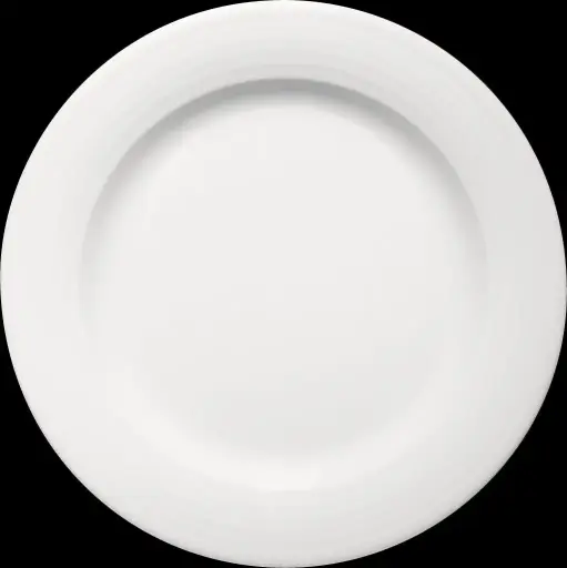 [BAU-6 80 0025 1] Teller Ø 25,7cm flach rund, DIALOG